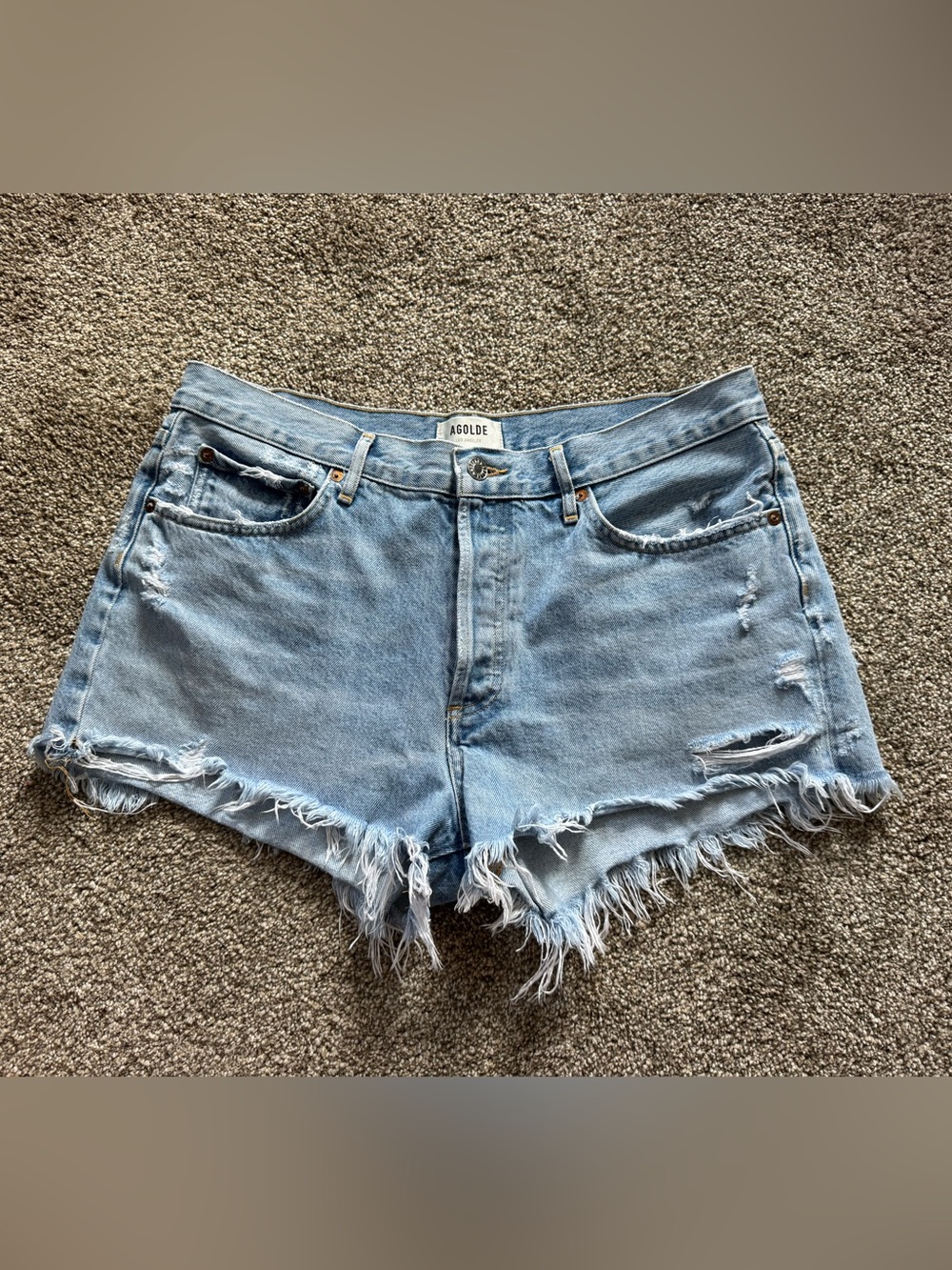 Agolde Parker Vintage Cutoff Shorts